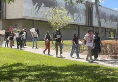 USF students are divided over new on-campus gathering policies