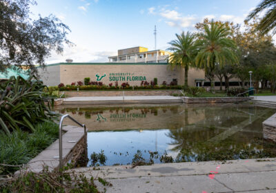 A guide to USF’s post-hurricane resources