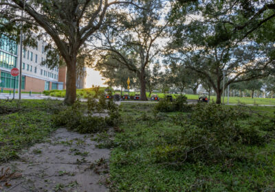 USF will reopen in the wake of Hurricane Milton