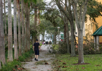 PHOTOS: USF Tampa before and after Hurricane Milton