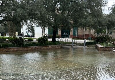 USF closes all campuses until Saturday due to Hurricane Milton