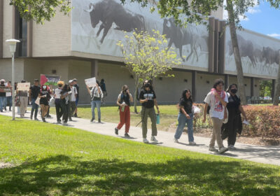 USF student protester forced to leave the country after suspension