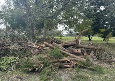 USF’s Riverfront Park, Botanical Gardens temporarily closed following Milton