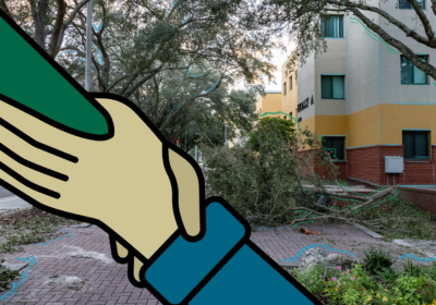 OPINION: USF, be a helping hand post-storm