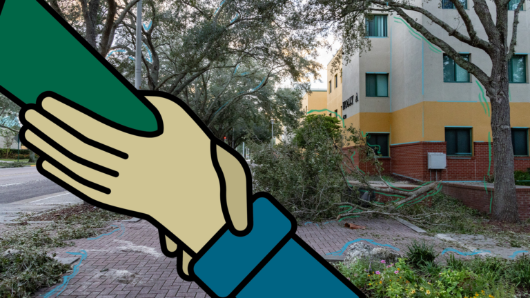 OPINION: USF, be a helping hand post-storm