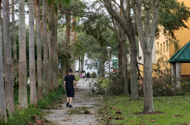 OPINION: USF is back to school too soon after Hurricane Milton