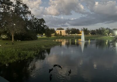 USF’s fishing community finds a home at Simmons Park